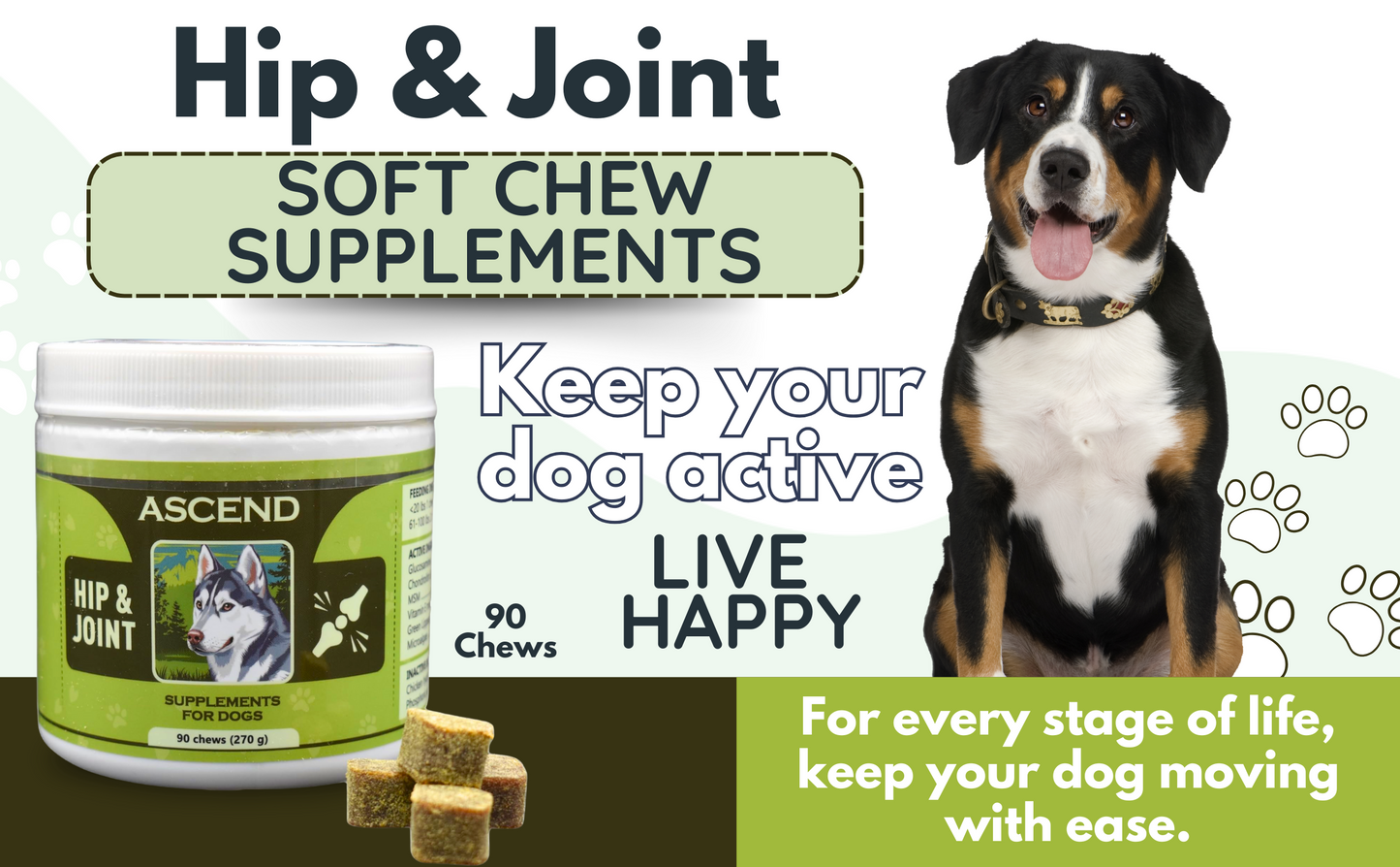 Ascend Hip & Joint Supplements - 90 Chews
