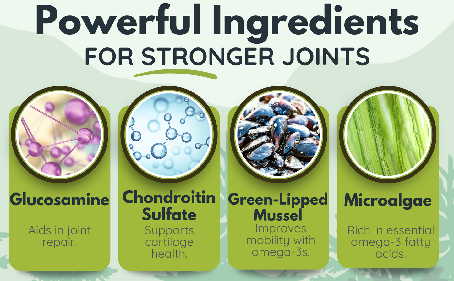 Ascend Hip & Joint Supplements - 90 Chews