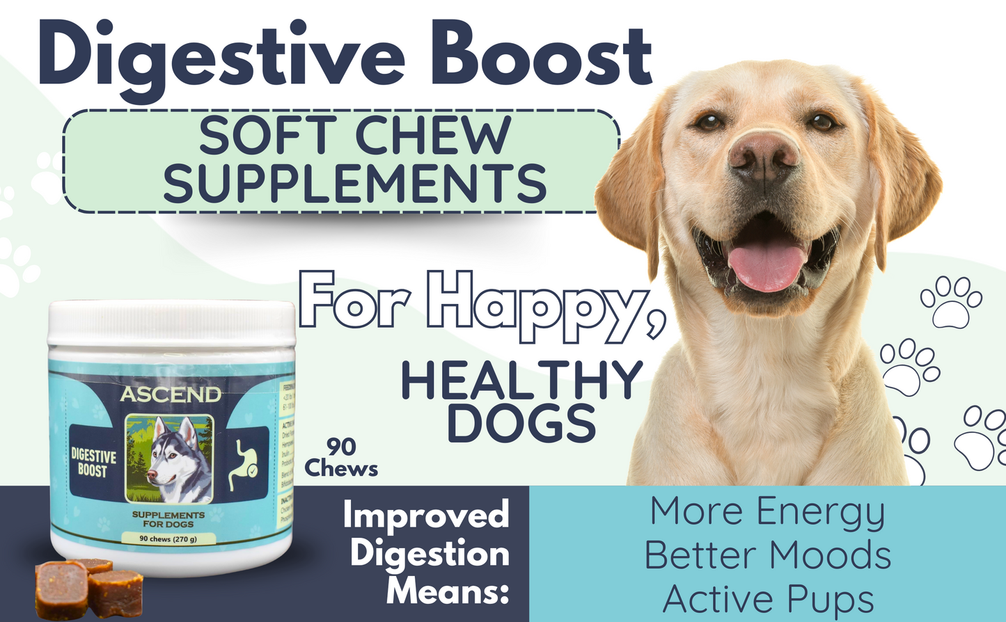 Ascend Digestive Boost Supplements - 90 chews