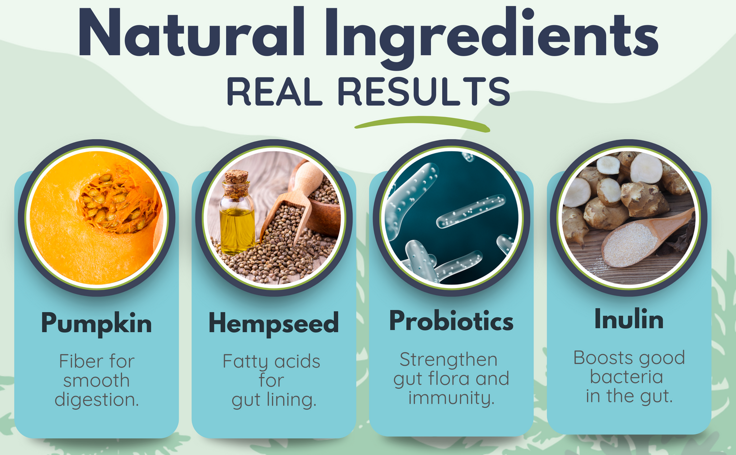 Ascend Digestive Boost Supplements - 90 chews