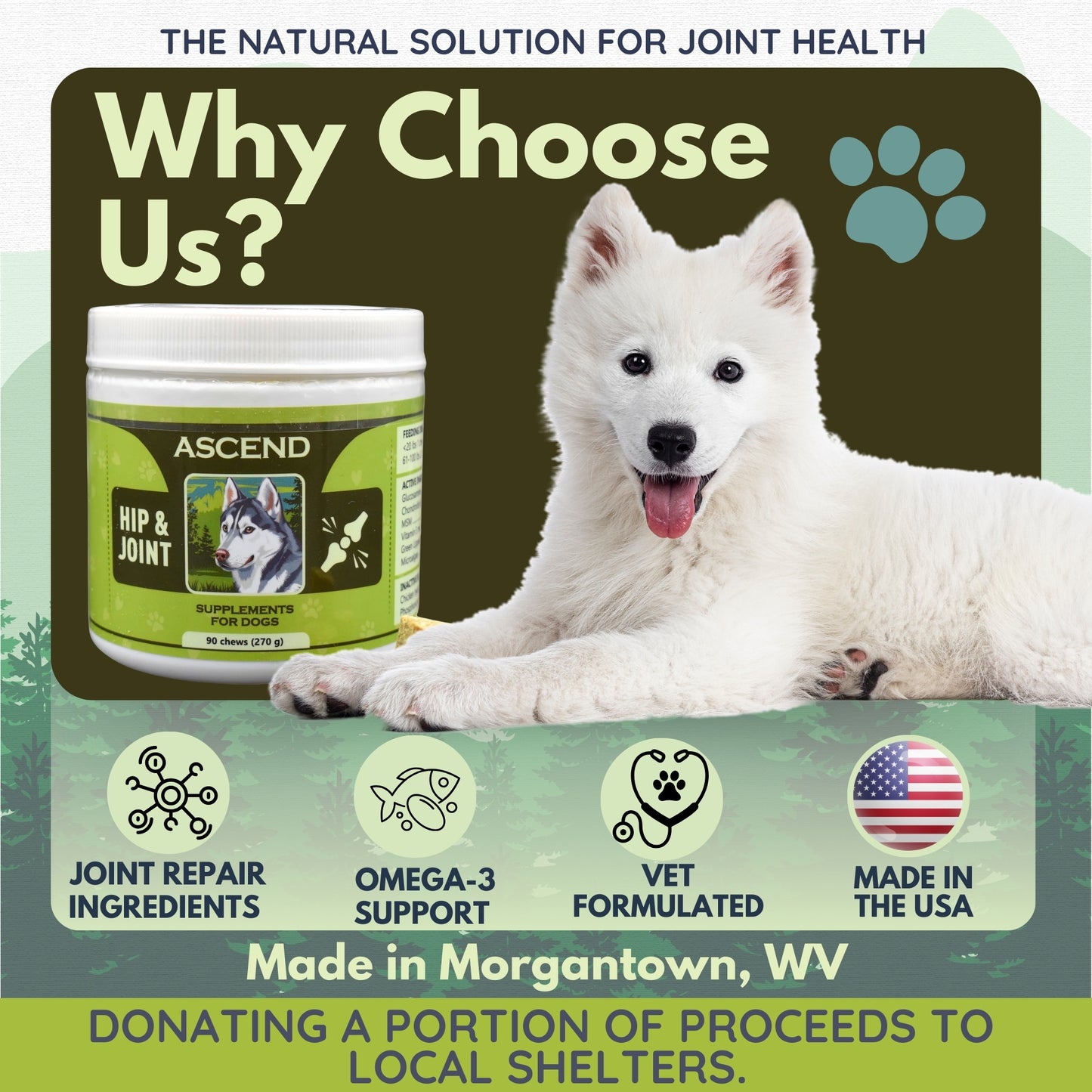 Ascend Hip & Joint Supplements - 90 Chews