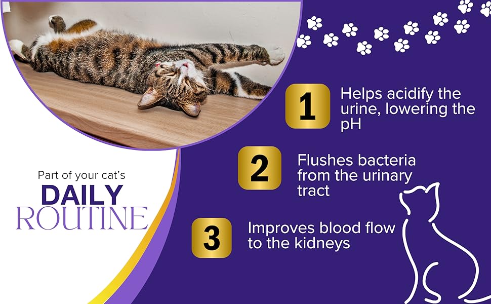 Royal Whiskers Urinary Defense Chews for Cats